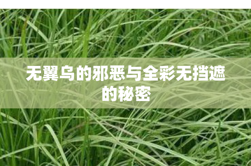 无翼乌的邪恶与全彩无挡遮的秘密图片