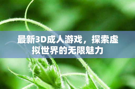 探索虚拟世界的无限魅力图片