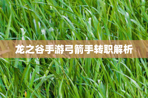 龙之谷手游弓箭手转职解析图片