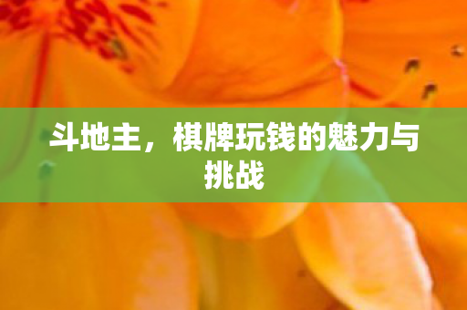 斗地主,棋牌玩钱的魅力与挑战 斗地主,棋牌玩钱的魅力与挑战