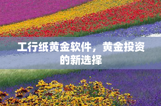 黄金投资的新选择图片