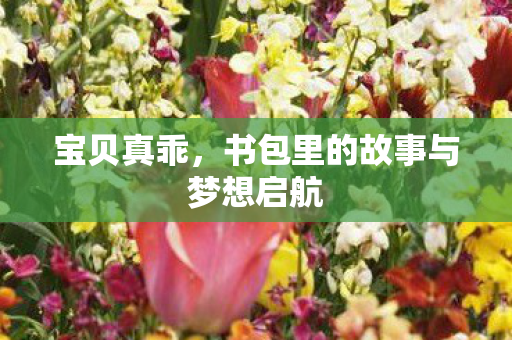 书包里的故事与梦想启航图片