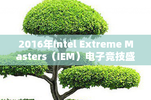 2016年Intel Extreme Masters图片