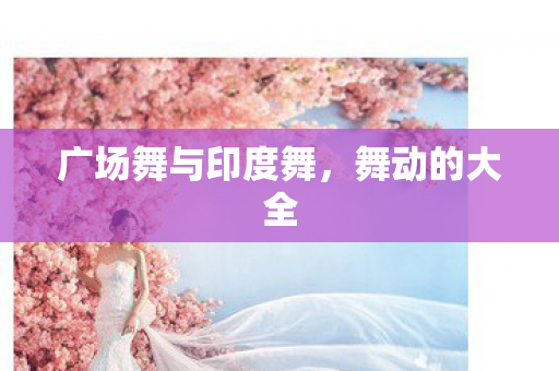 广场舞与印度舞图片
