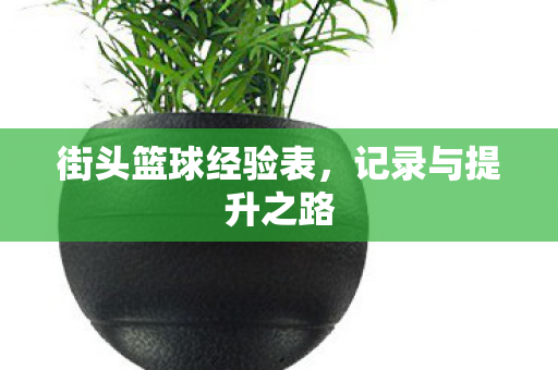街头篮球经验表图片
