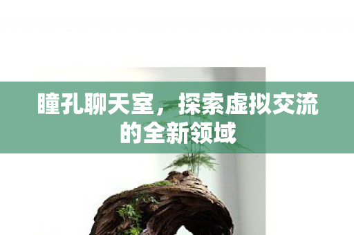 探索虚拟交流的全新领域图片