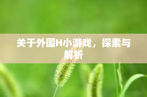 关于外国H小游戏图片