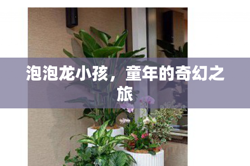 童年的奇幻之旅图片