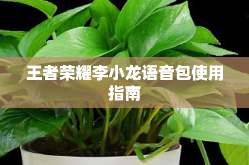 王者荣耀李小龙语音包使用指南图片