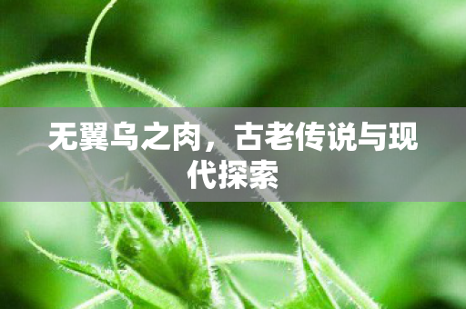 古老传说与现代探索图片