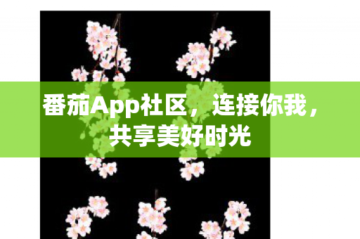 番茄App社区图片