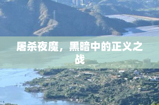 黑暗中的正义之战图片