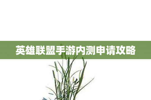 英雄联盟手游内测申请攻略图片