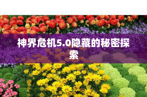0隐藏的秘密探索图片