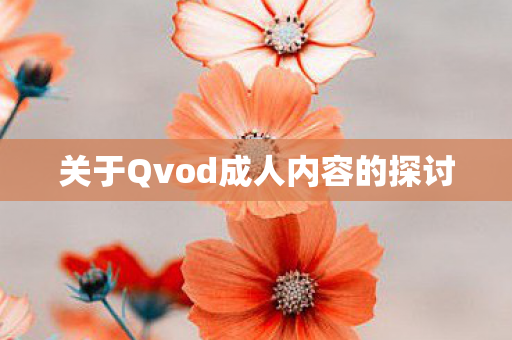 关于Qvod成人内容的探讨图片