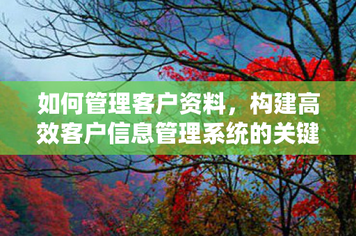 构建高效客户信息管理系统的关键步骤图片
