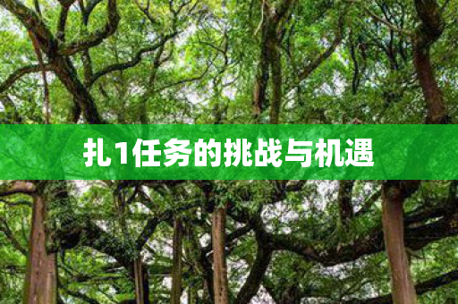 扎1任务的挑战与机遇图片