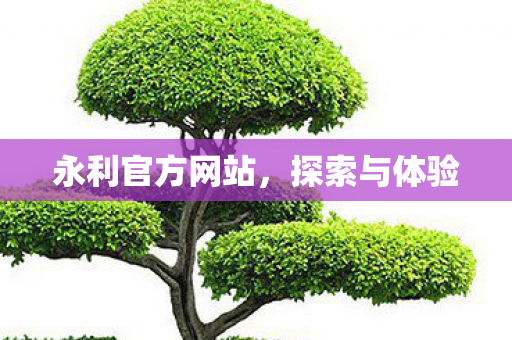 永利官方网站图片