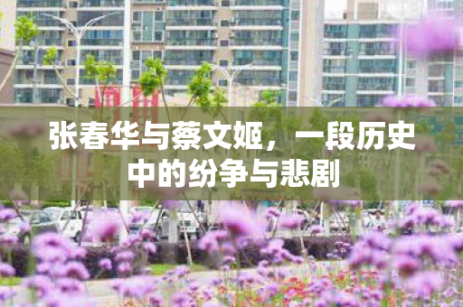 一段历史中的纷争与悲剧图片