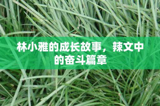 林小雅的成长故事图片
