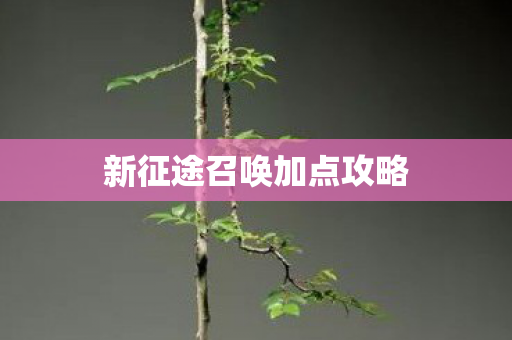 新征途召唤加点攻略图片