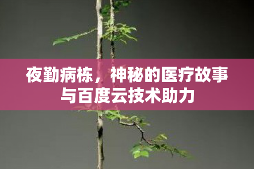 神秘的医疗故事与百度云技术助力图片
