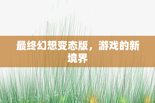 最终幻想变态版图片