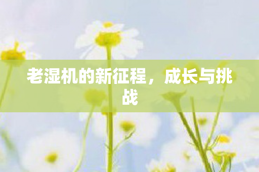 老湿机的新征程图片