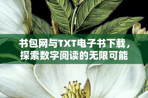 书包网与TXT电子书下载图片