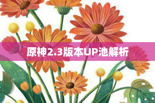 3版本UP池解析图片