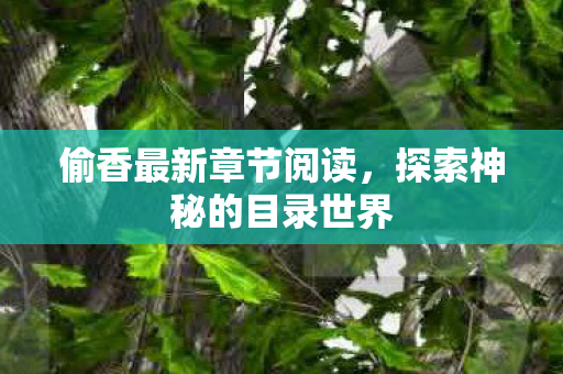 探索神秘的目录世界图片