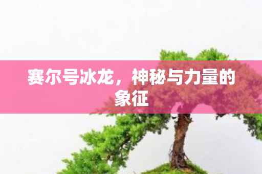 神秘与力量的象征图片