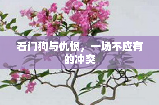 一场不应有的冲突图片