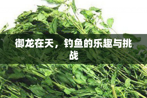 钓鱼的乐趣与挑战图片