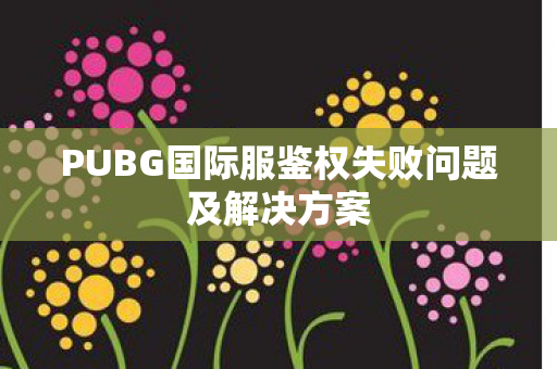 PUBG国际服鉴权失败问题及解决方案图片
