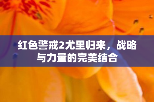 战略与力量的完美结合图片