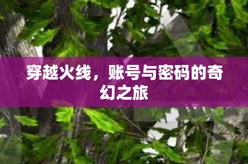 账号与密码的奇幻之旅图片