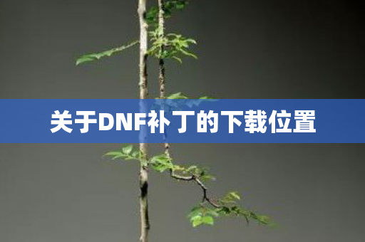 关于DNF补丁的下载位置图片