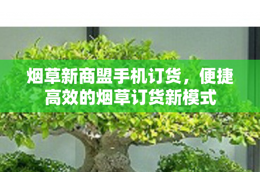 便捷高效的烟草订货新模式图片