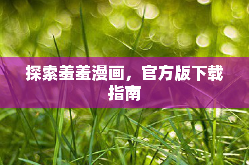 官方版下载指南图片