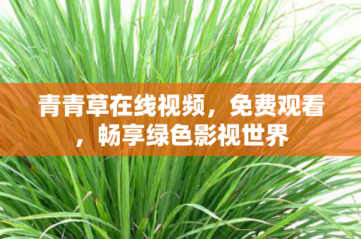 畅享绿色影视世界图片