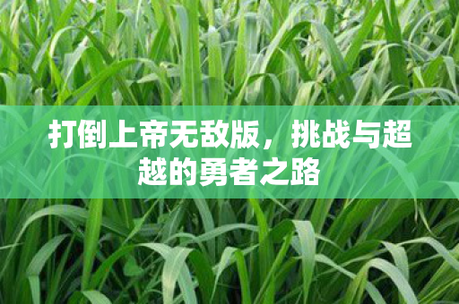 挑战与超越的勇者之路图片