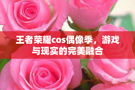 王者荣耀cos偶像季图片