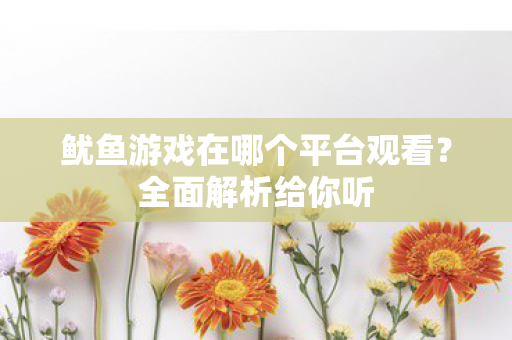 鱿鱼游戏在哪个平台观看图片