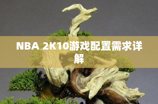 NBA 2K10游戏配置需求详解图片