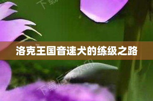 洛克王国音速犬的练级之路图片