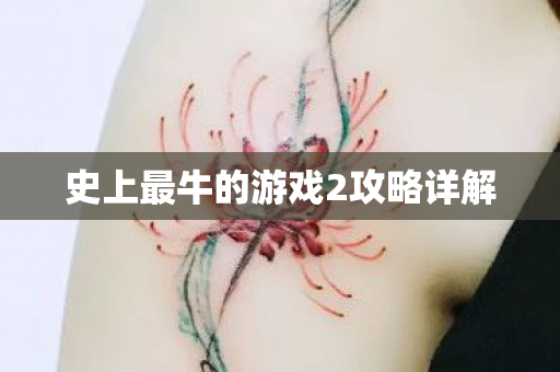 史上最牛的游戏2攻略详解图片