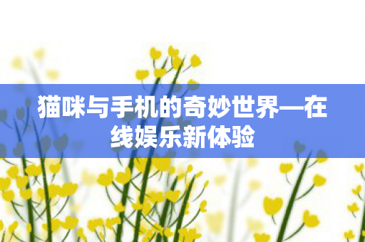 猫咪与手机的奇妙世界图片