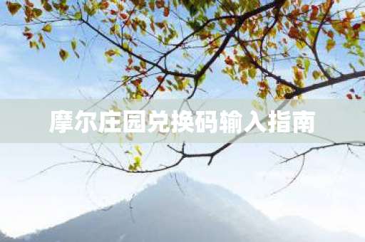 摩尔庄园兑换码输入指南图片