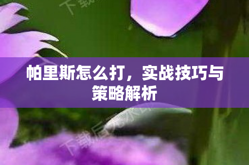 实战技巧与策略解析图片